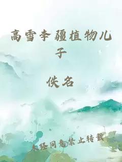 高雪李疆植物儿子