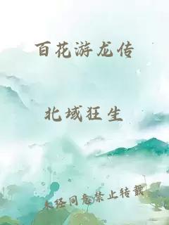 百花游龙传