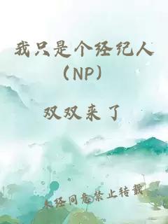 我只是个经纪人（NP）