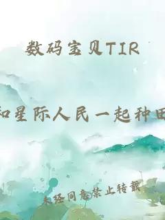 数码宝贝TIR