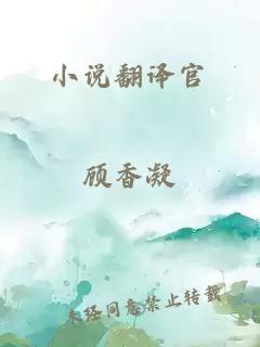 小说翻译官