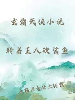 玄霜武侠小说