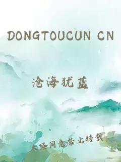 DONGTOUCUN CN