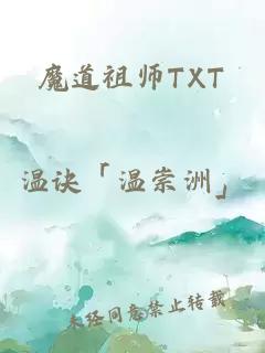 魔道祖师TXT