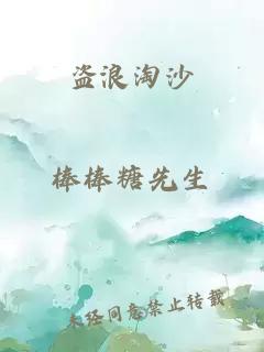 盗浪淘沙