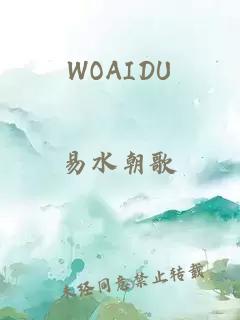 WOAIDU