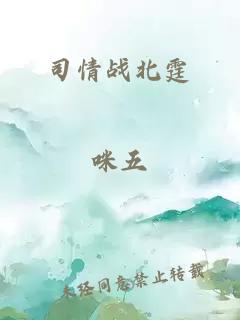 司情战北霆