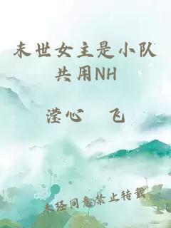 末世女主是小队共用NH