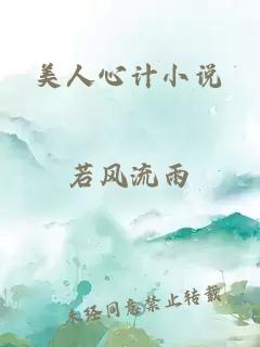 美人心计小说