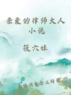 亲爱的律师大人 小说