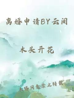 离婚申请BY云间