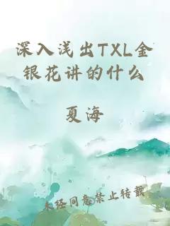 深入浅出TXL金银花讲的什么