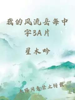 我的风流岳每中字3A片