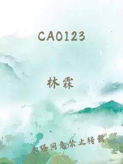 CAO123