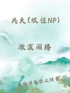 共夫(双性NP)