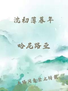 沈初薄暮年