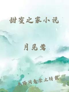 甜蜜之家小说