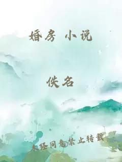 婚房 小说