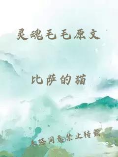 灵魂毛毛原文