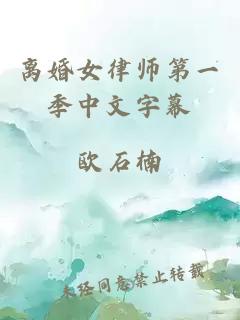 离婚女律师第一季中文字幕