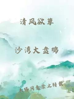 清风欲孽