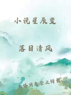 小说星辰变