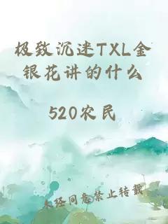 极致沉迷TXL金银花讲的什么