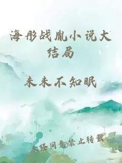 海彤战胤小说大结局