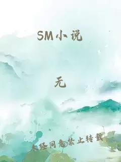 SM小说