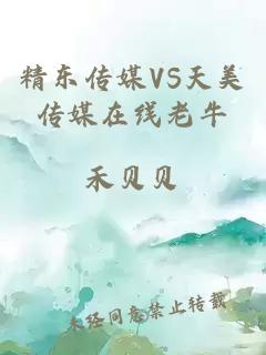 精东传媒VS天美传媒在线老牛