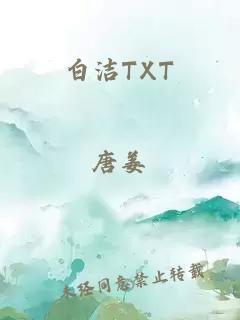 白洁TXT