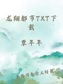 龙翔都市TXT下载