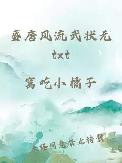 盛唐风流武状元txt