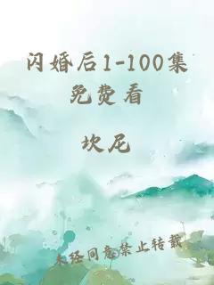 闪婚后1-100集免费看