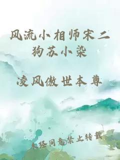 风流小相师宋二狗苏小染