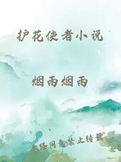 护花使者小说