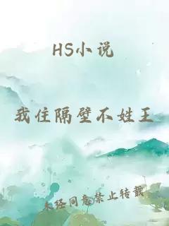 HS小说