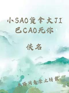 小SAO货拿大JI巴CAO死你