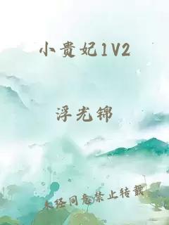 小贵妃1V2