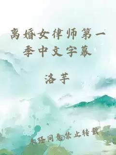 离婚女律师第一季中文字幕