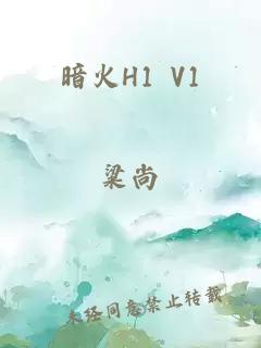 暗火H1 V1