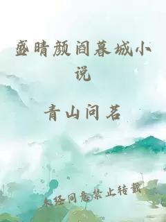 盛晴颜阎暮城小说