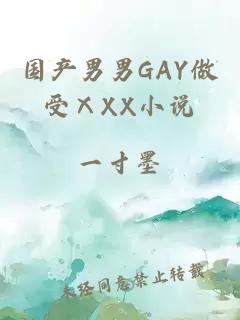 国产男男GAY做受ⅩXX小说