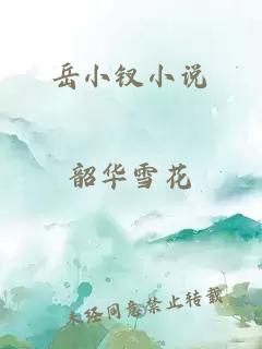 岳小钗小说