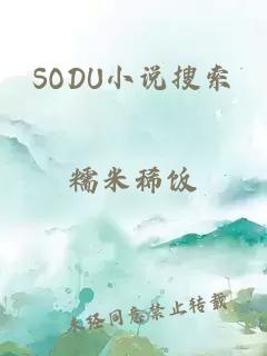 SODU小说搜索