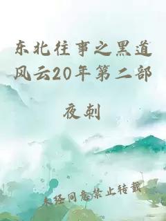 东北往事之黑道风云20年第二部