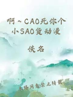 啊～CAO死你个小SAO货动漫