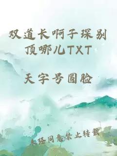 双道长啊子琛别顶哪儿TXT