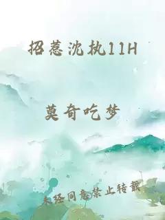 招惹沈执11H