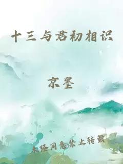 十三与君初相识